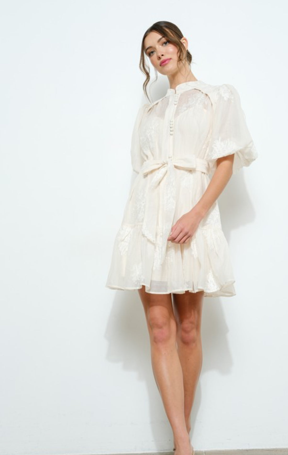 Embroidered Sheer Lace Puff Sleeve Mini Dress. M's Closet Embroidered Sheer Lace Puff Sleeve Mini Dress. M's Closet