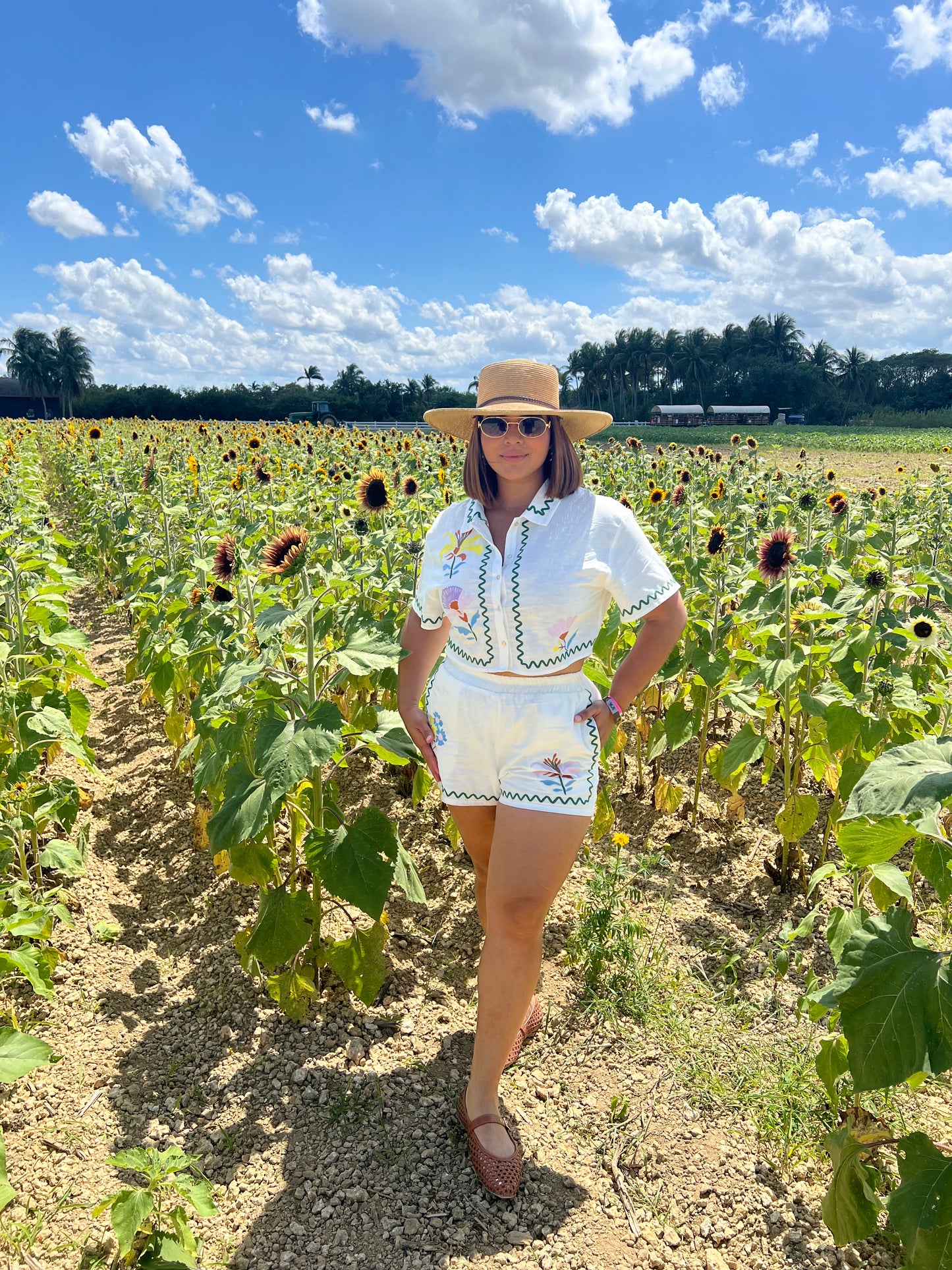 Embroidered colorful short set