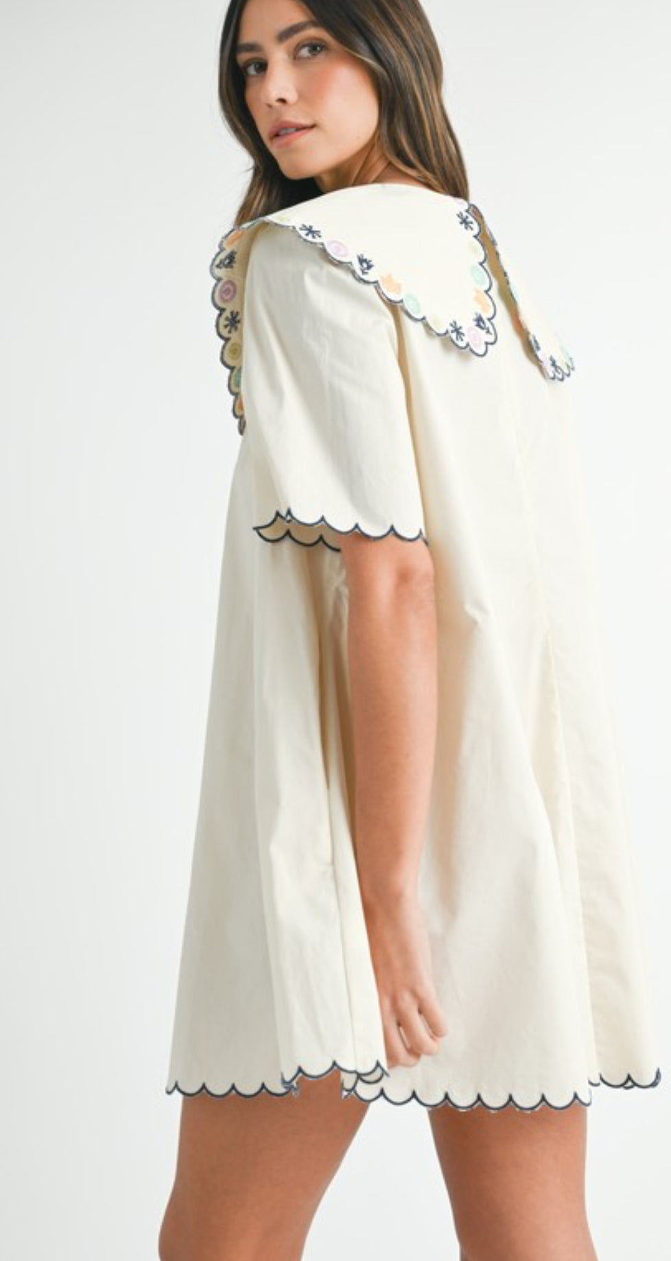 Embroidered Colorful Mini Dress