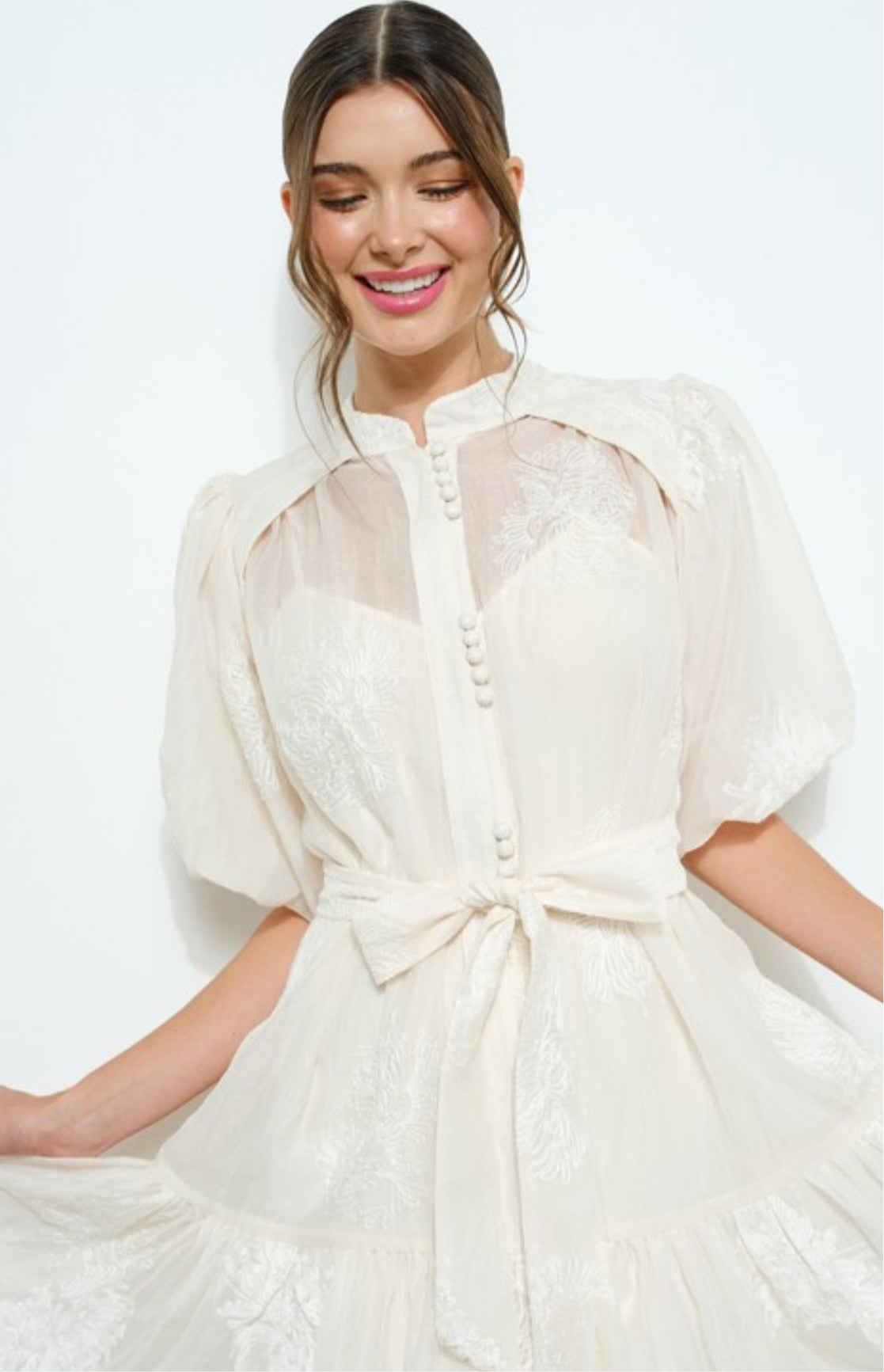 Embroidered Sheer Lace Puff Sleeve Mini Dress.